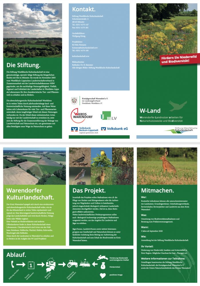 Flyer W-Land