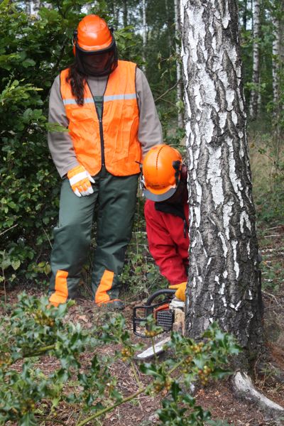 Motorsägenlehrgang 2011