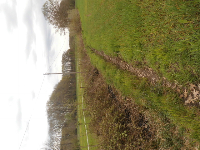 Hecke_2023.JPG