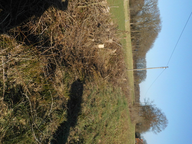 Anlage- und Pflege von Biotopen (W-Land)