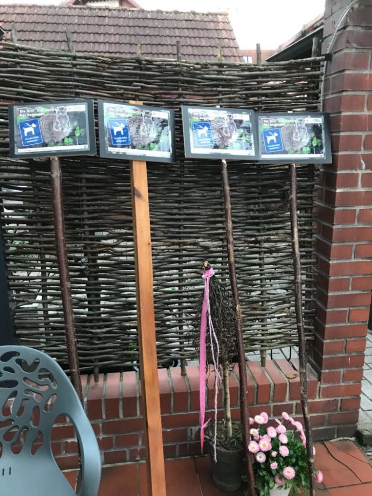 Brut und Setzzeit hat begonnen...