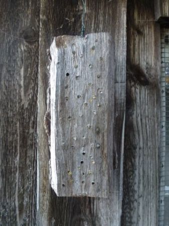 Ein Zuhause für Wildbienen