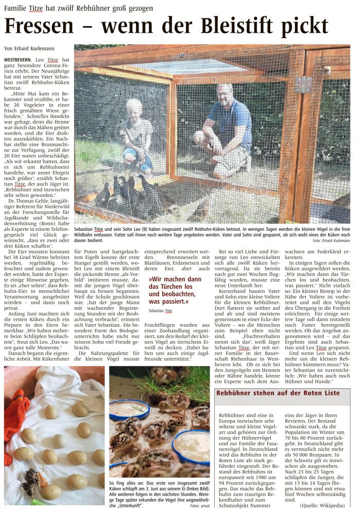 rebhuhn-artikel-wn.jpg