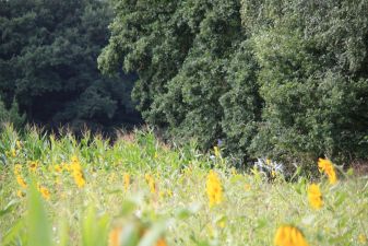 IMG_0182-fc339ef2.jpg