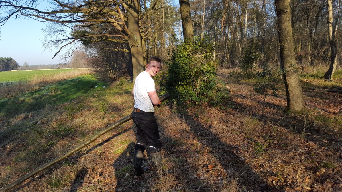 Nistkästenaktion und Biotoppflege