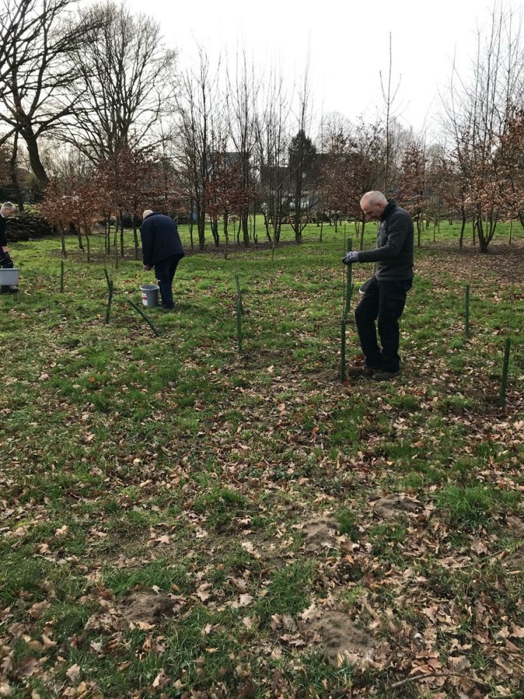 Pflanzaktion im Raestruper Revier erfolgreich